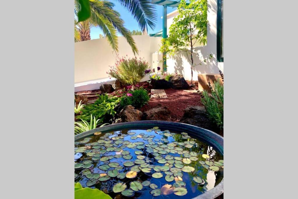 Unique, Stylish & Calm El Estanque By The Sea, Adults Only Βίλα Costa Teguise Εξωτερικό φωτογραφία